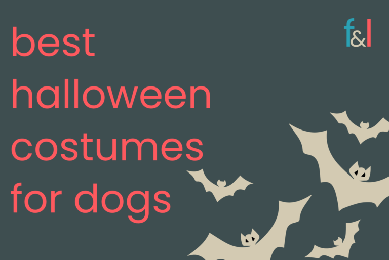 Best Halloween Costumes for Dogs