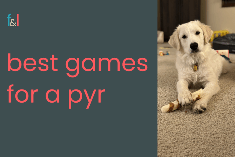 Best Games for a Pyr: Engaging the Independent Guardian